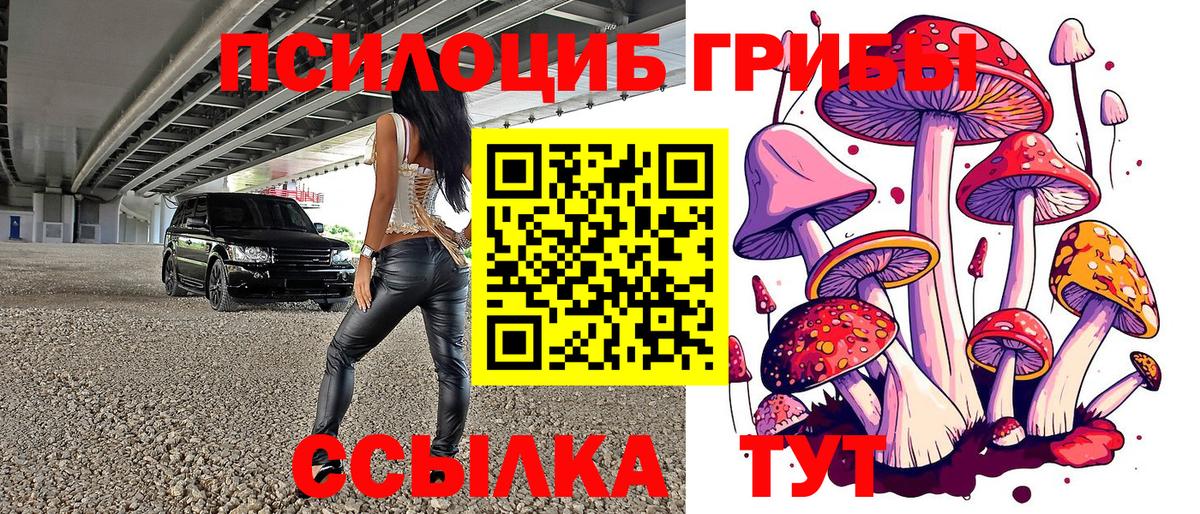 Нижнекамск  Галлюциногенные грибы мухоморы  Вход с VPN 